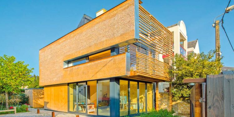 La Fabrik: Pared de totora para 90 años