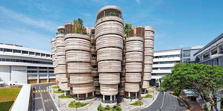 Solución curvilínea para el aprendizaje