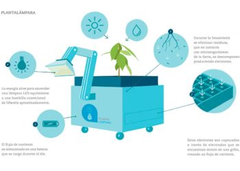 Iluminación ecosostenible: Generando luz a partir de las plantas