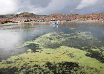 Marino Morikawa ahora quiere descontaminar el Titicaca