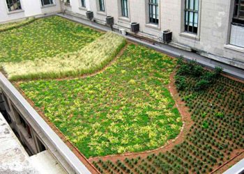 Techos verdes serán obligatorios en ciudad argentina