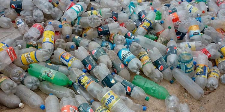 Con botellas de plástico  construyen casas seguras para los saharauis