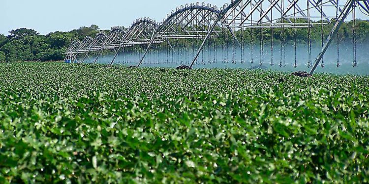 Preservar el agua con riego tecnificado