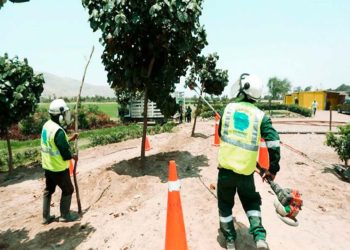 Lima contará con bosque en Ancón