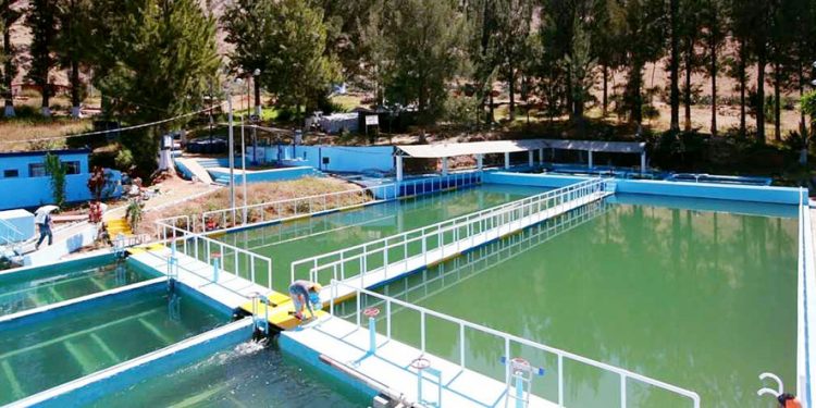 Sector Vivienda descentraliza certificación ambiental para proyectos de inversión