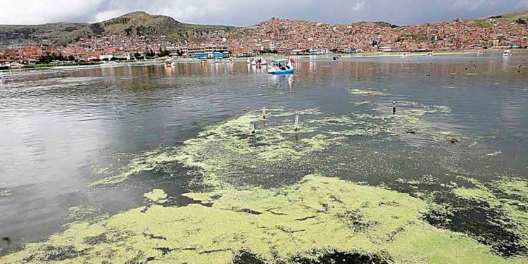 Dos nuevos postores se suman a lista de interesados por la concesión de PTAR Titicaca