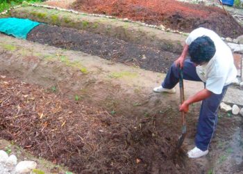Machu Picchu Pueblo convertirá basura orgánica en abono para agricultura