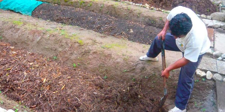 Machu Picchu Pueblo convertirá basura orgánica en abono para agricultura