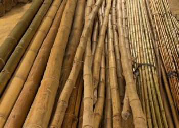 El bambú como solución térmica y aislante acústico