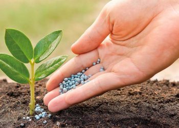 Proponen uso de aguas residuales como fuente de fertilizantes agrícolas