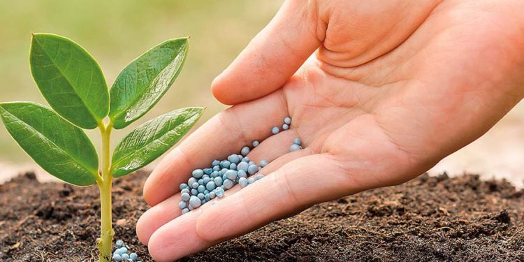 Proponen uso de aguas residuales como fuente de fertilizantes agrícolas