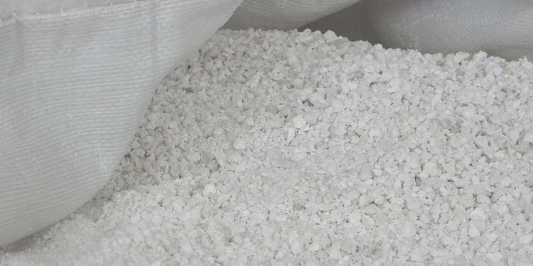 Utilizan lana de oveja como aislante térmico en hogares