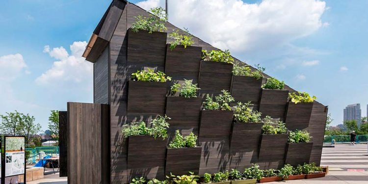 Módulo de vivienda ecológico