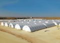 Campamentos mineros, un mundo de posibilidades