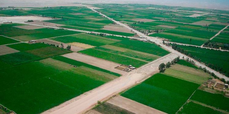 Aprueban proyecto de irrigación para 1,640 hectáreas en Arequipa