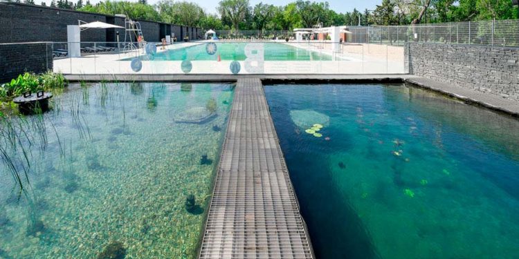 Canadá: Crean la primera piscina del mundo con mantenimiento natural