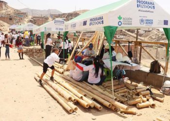 Técnicas de construcción con bambú para zonas vulnerables del país