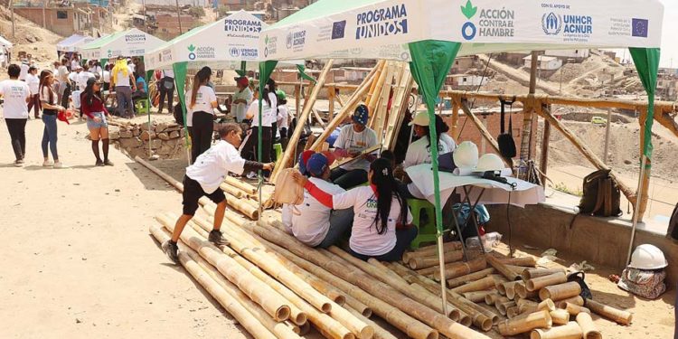 Técnicas de construcción con bambú para zonas vulnerables del país