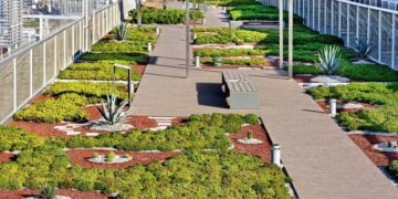 Barcelona busca transformar en cubiertas verdes los tejados de la ciudad