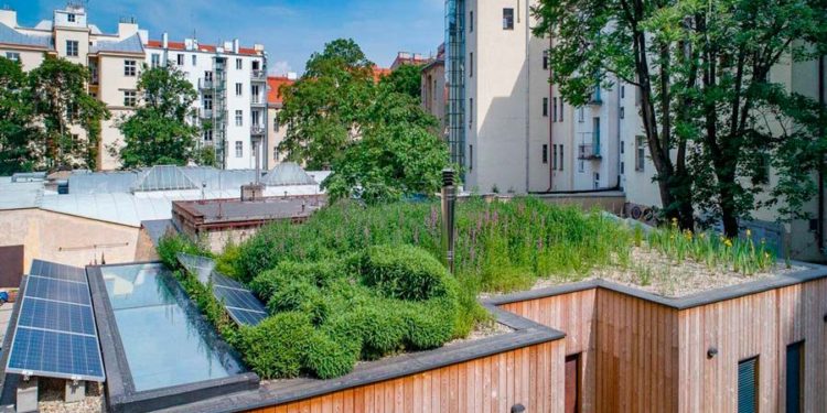 Cada vez más techos con vegetación en República Checa