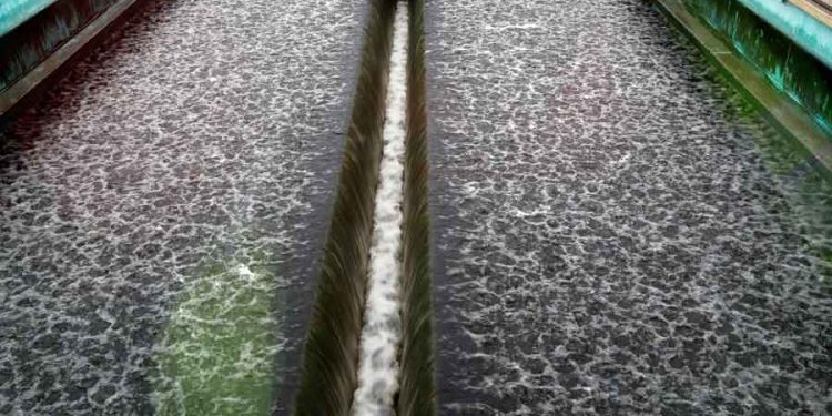 Detección del COVID–19 en aguas residuales será compartida en Expo Agua Virtual  2020