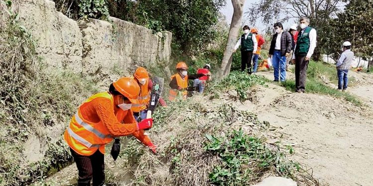 La Libertad: Mujeres líderes harán mantenimiento de drenes en el Valle Chicama