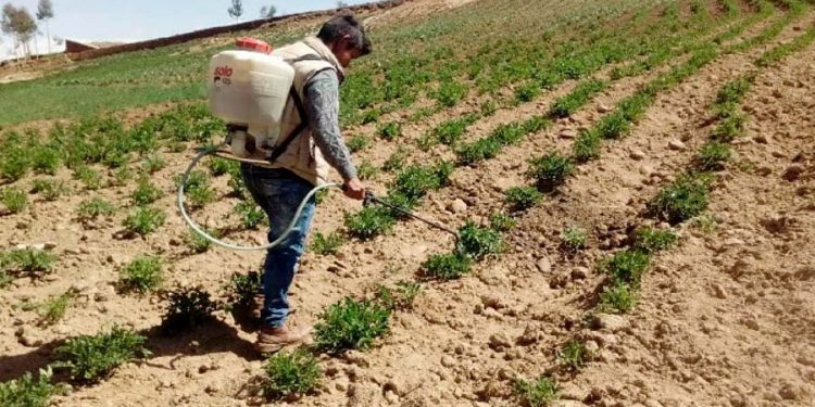 Declaran en emergencia a 181 distritos de seis regiones por déficit hídrico