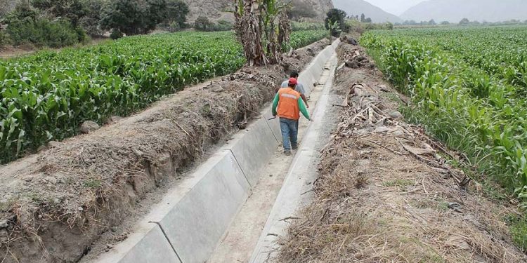 Midagri presupuesta más de S/ 941 mil para mantenimiento de canales en Yauca del Rosario