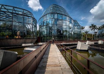 Tropicario Jardín Botánico de Bogotá, Premio Mundial Bienal Panamericana de Quito 2020