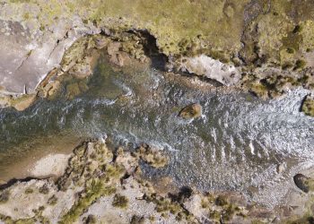 Sedapal recupera bofedales de Milloc con emblemático proyecto ecosistémico