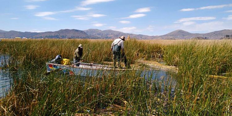 UNMSM presenta herramienta para conservar la biodiversidad del lago Titicaca y la laguna de Yarinacocha