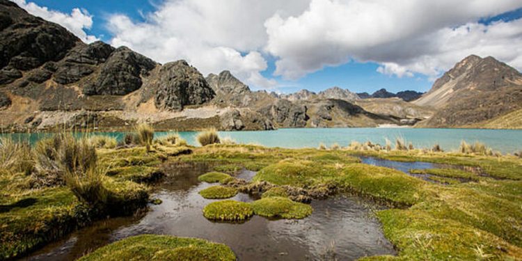 Alemania asigna 9 millones de euros para ejecutar proyecto Puna Resiliente que protegerá ecosistemas andinos