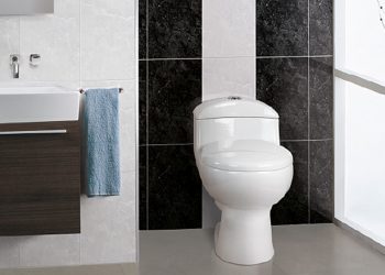 Beneficios de los inodoros One Piece TREBOL