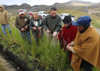 Cajamarca: Invertirán más de S/ 25 millones en rehabilitación de canales
