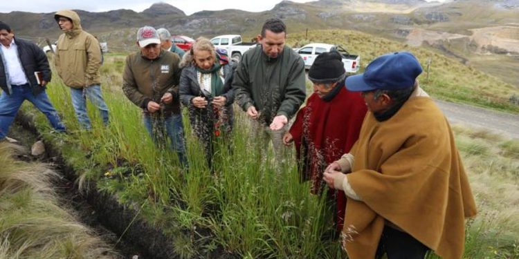 Cajamarca: Invertirán más de S/ 25 millones en rehabilitación de canales
