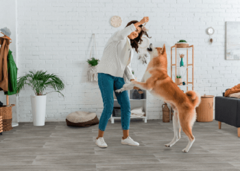 Celima presenta nuevos porcelanatos XL