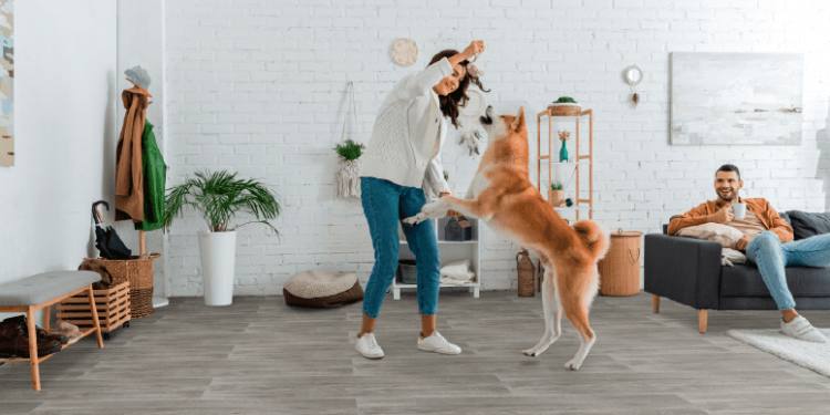 Celima presenta nuevos porcelanatos XL