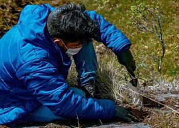 Áncash: Especies vegetales pueden descontaminar el agua y suelo en nevados
