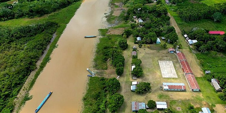 Ucayali: Comunidad shipibo-konibo combate la deforestación y cuida sus fuentes de agua con la siembra de bambú