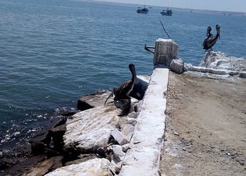 Piura: ANA sanciona a empresa Océano Seafood S.A. por realizar vertimientos sin autorización