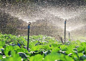 Banco Mundial otorga US$ 100 millones para impulsar la agricultura sostenible y resiliente al cambio climático