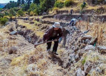 Gobierno ejecutará proyecto para recuperar 120,000 hectáreas de andenes