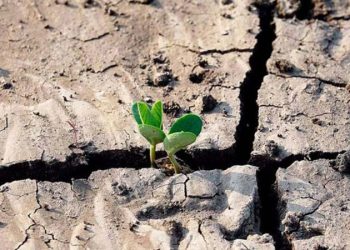 Tacna: Aprueban primer Plan de Gestión de Sequías a nivel nacional