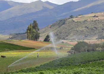 Destinan más de S/ 300 millones para infraestructura de riego en beneficio de productores de cuatro regiones
