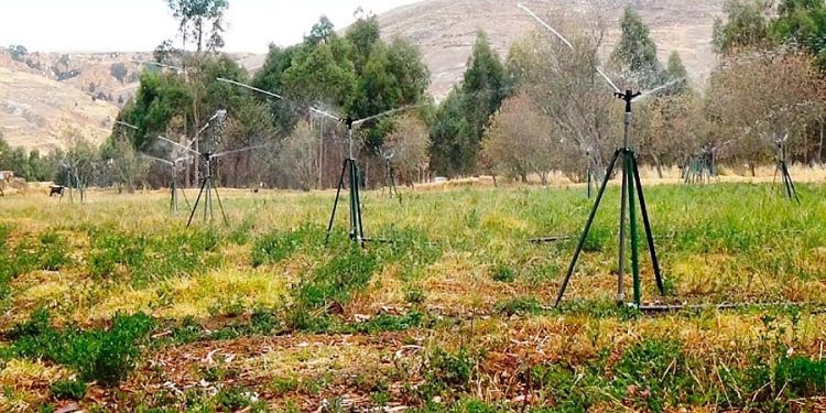 Puno: Más de S/ 39 millones para proyecto de riego en la provincia de Moho