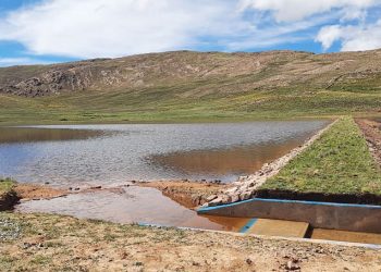 Puno: Invertirán más de S/ 600 mil en cinco nuevas qochas ubicadas en Azángaro
