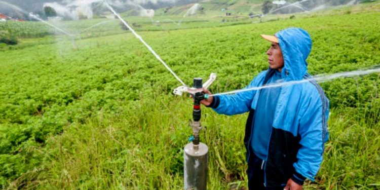 San Martín: Más de S/ 25 millones para seis proyectos de infraestructura de riego