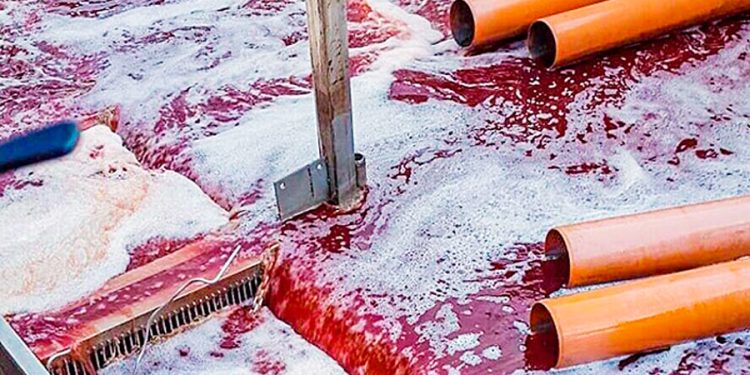 Minam establecerá límites máximos permisibles para aguas residuales de actividades pecuarias