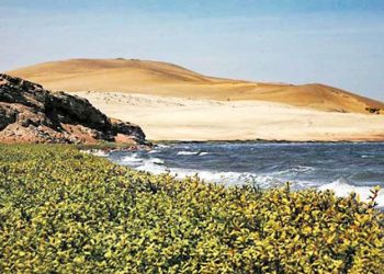 Minam publica proyecto del Plan Nacional contra la Desertificación y Sequía al 2030