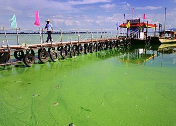 Exceso de nutrientes (nitrógeno y fósforo) en aguas residuales domésticas: un desafío ambiental latente